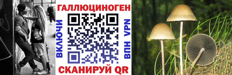 Псилоцибиновые грибы мухоморы  Юрьевец 